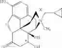 Fig. 47 - Peripheral opioid receptor antagonists and uses thereof