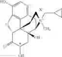 Fig. 48 - Peripheral opioid receptor antagonists and uses thereof