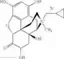 Fig. 58 - Peripheral opioid receptor antagonists and uses thereof