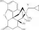 Fig. 64 - Peripheral opioid receptor antagonists and uses thereof