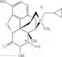 Fig. 71 - Peripheral opioid receptor antagonists and uses thereof