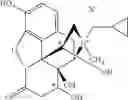Fig. 72 - Peripheral opioid receptor antagonists and uses thereof