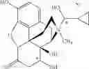 Fig. 74 - Peripheral opioid receptor antagonists and uses thereof