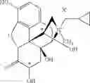 Fig. 77 - Peripheral opioid receptor antagonists and uses thereof