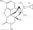 Fig. 79 - Peripheral opioid receptor antagonists and uses thereof