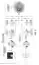 Fig. 10 - GLAUCOMA COMBINATORIAL ANALYSIS