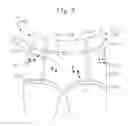 Fig. 07 - Method of constructing absorbent articles comprising graphics