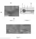 Fig. 07 - Method for making side growth semiconductor nanowires and transistors obtained by said method