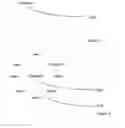 Fig. 02 - Distance dependent selection of information entities