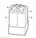 Fig. 01 - Biosensor with quadrupole magnetic actuation system