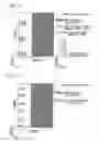 Fig. 14 - Wireless communication system, base station device, mobile station device, wireless communication method