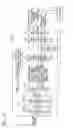 Fig. 18 - Wireless communication system, base station device, mobile station device, wireless communication method
