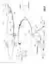 Fig. 05 - Ethernet network synchronization systems and methods