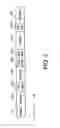 Fig. 03 - Radio communication apparatus capable of switching modulation schemes