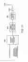 Fig. 19 - Radio communication apparatus capable of switching modulation schemes