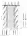 Fig. 06 - Digital broadcasting system and method for transmitting and receiving digital broadcast signal