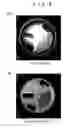 Fig. 09 - MAGNETIC RESONANCE IMAGING APPARATUS AND METHOD