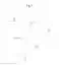 Fig. 07 - Inter-pattern feature corresponding device, inter-pattern feature corresponding method used for the same, and program therefor