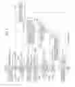 Fig. 04 - Image forming apparatus