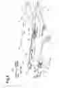Fig. 06 - Image forming apparatus