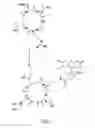 Fig. 04 - Cyclized NGR peptide compounds, compositions, and methods of their use