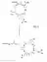Fig. 05 - Cyclized NGR peptide compounds, compositions, and methods of their use