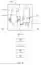 Fig. 11 - ACTIVATABLE BIOLUMINESCENT PROBE SYSTEM AND METHOD OF USE THEREOF