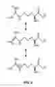 Fig. 03 - DEODORANT COMPOSITION AND METHODS FOR USE THEREOF