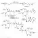 Fig. 01 - Multi-arm polymeric alkanoate conjugates