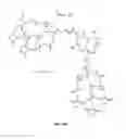 Fig. 03 - Multi-arm polymeric alkanoate conjugates