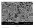 Fig. 04 - NON-IONIC SELF-ASSEMBLING PEPTIDES AND USES THEREOF
