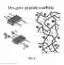 Fig. 08 - NON-IONIC SELF-ASSEMBLING PEPTIDES AND USES THEREOF