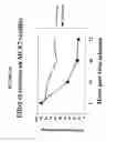 Fig. 05 - Virus clearance of neoplastic cells from mixed cellular compositions