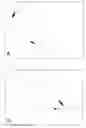 Fig. 01 - Compositions and Methods for the Treatment of Vitiligo