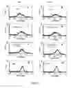 Fig. 04 - METHODS AND COMPOSITIONS FOR THE TREATMENT OF LUNG DISEASES AND DISORDERS