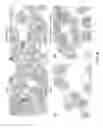 Fig. 09 - METHODS AND COMPOSITIONS FOR THE TREATMENT OF LUNG DISEASES AND DISORDERS