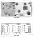 Fig. 20 - Method of treating heart tissue using induced pluripotent stem cells