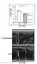 Fig. 29 - Method of treating heart tissue using induced pluripotent stem cells