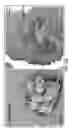 Fig. 45 - Method of treating heart tissue using induced pluripotent stem cells