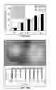 Fig. 50 - Method of treating heart tissue using induced pluripotent stem cells