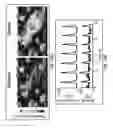 Fig. 53 - Method of treating heart tissue using induced pluripotent stem cells