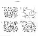 Fig. 04 - Sustained drug delivery system