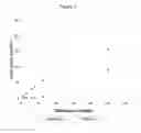 Fig. 07 - Sustained drug delivery system