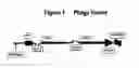 Fig. 02 - IDENTIFICATION OF NOVEL IgE EPITOPES