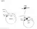 Fig. 09 - Chimeric proteins that induce effects directed against viruses