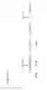 Fig. 02 - BACTERIAL VACCINE