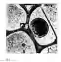 Fig. 02 - LIPOSOMAL STRUCTURES FORMING ISOMETRIC AGGLOMERATES, ESPECIALLY BATH BEADS, THE PRODUCTION AND USE THEREOF