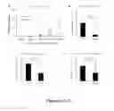 Fig. 02 - COMPOSITIONS OF MODULATORS OF THE WNT/B-CATENIN PATHWAY AND AN N-CINNAMYL-N'BENZHYDRYL PIPERAZINE AND THEIR USE IN TREATING NEOPLASTIC CONDITIONS INCLUDING MALIGNANT MELANOMA