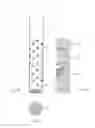 Fig. 04 - PERFORATED STIRRER