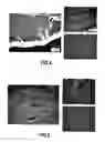Fig. 03 - Method for producing parts made of a thermostructural composite material